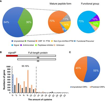 Small secreted peptides encoded on the wheat (Triticum aestivum L.) genome and their potential roles in stress responses